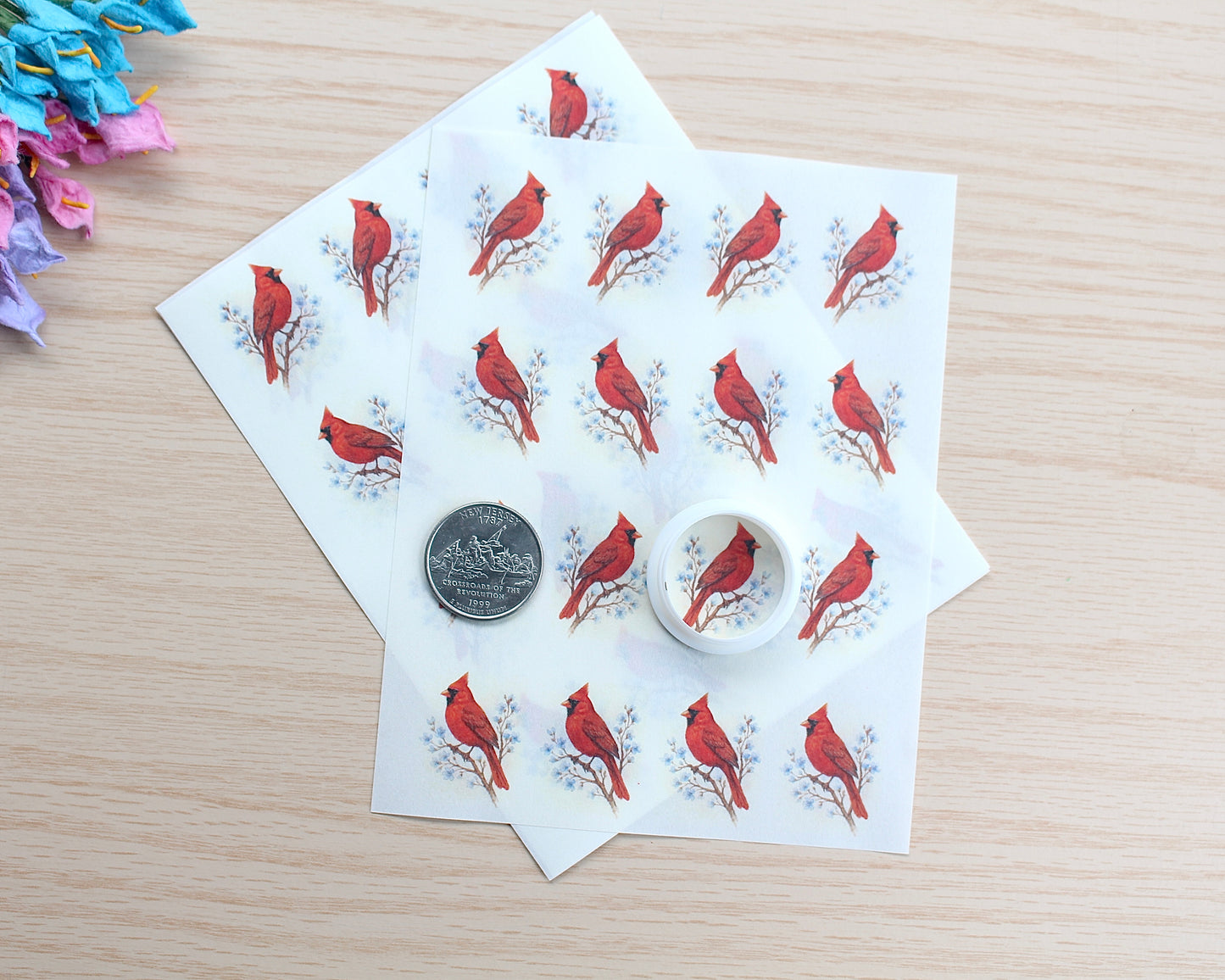 Red Cardinal Water Soluble Transfer Paper