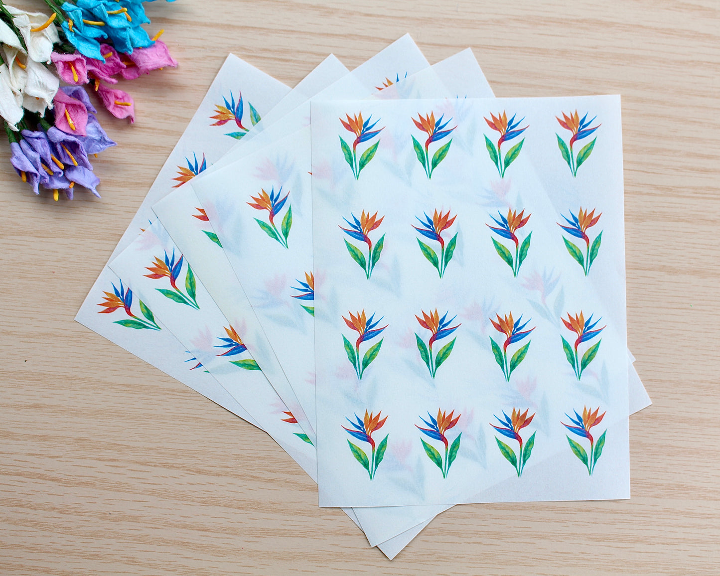 Bird of Paradise Flower Water Soluble Transfer Paper