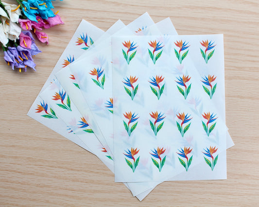 Bird of Paradise Flower Water Soluble Transfer Paper