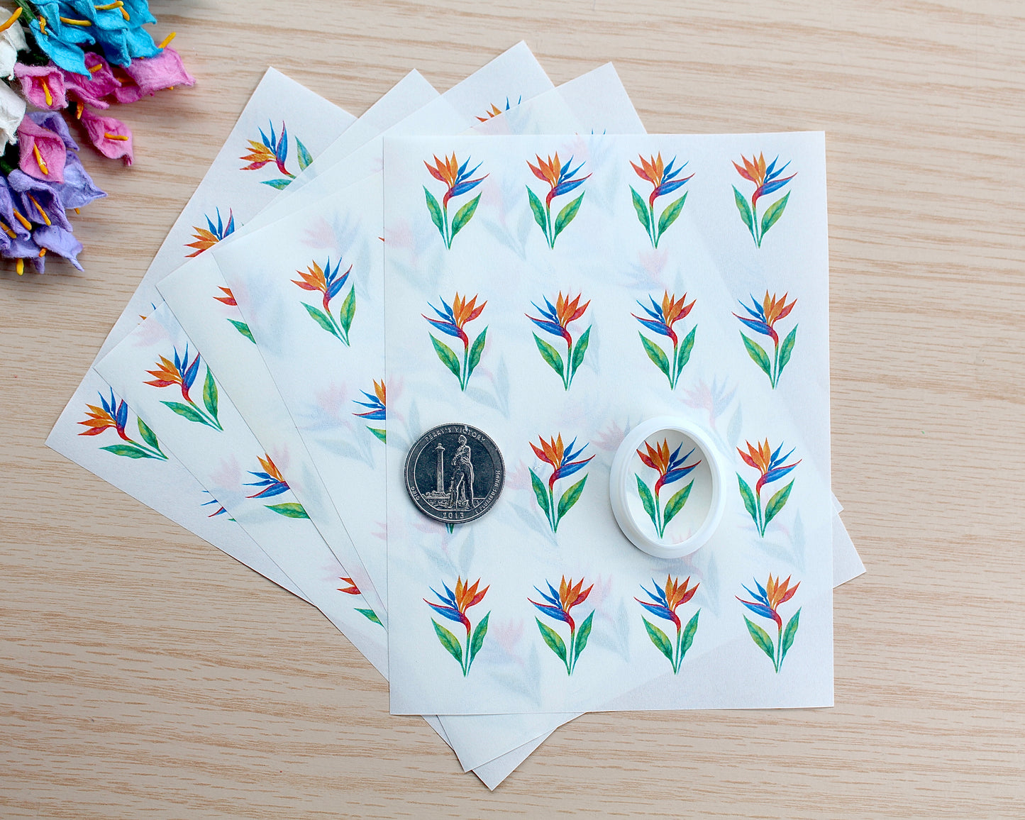 Bird of paradise transfer paper