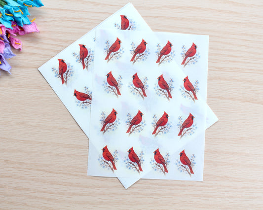 Red Cardinal Water Soluble Transfer Paper