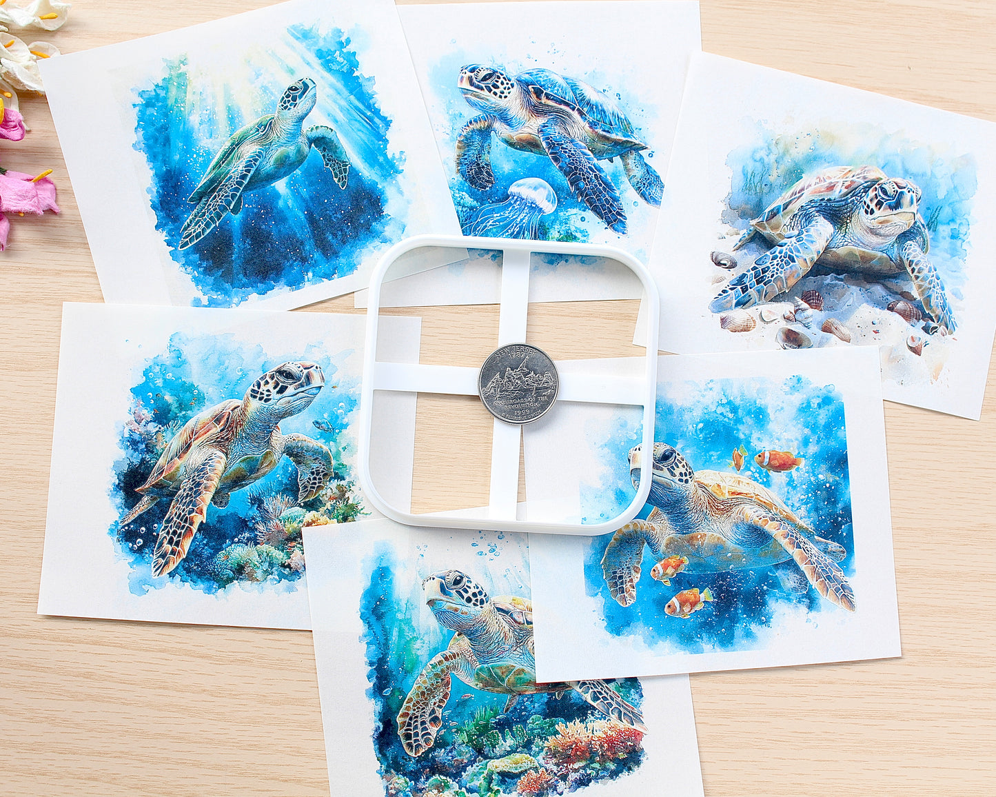 Sea turtle transfer paper
